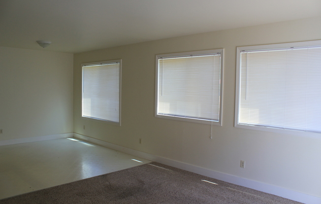 1308 Brooklane