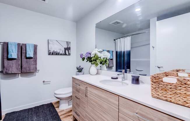 a bathroom with a sink and a toilet and a mirror