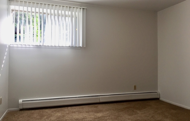 1 bed, 1 bath, 800 sqft, $1,195, Unit 11