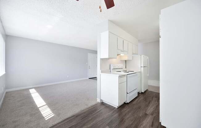 The Canopy | Kitchen