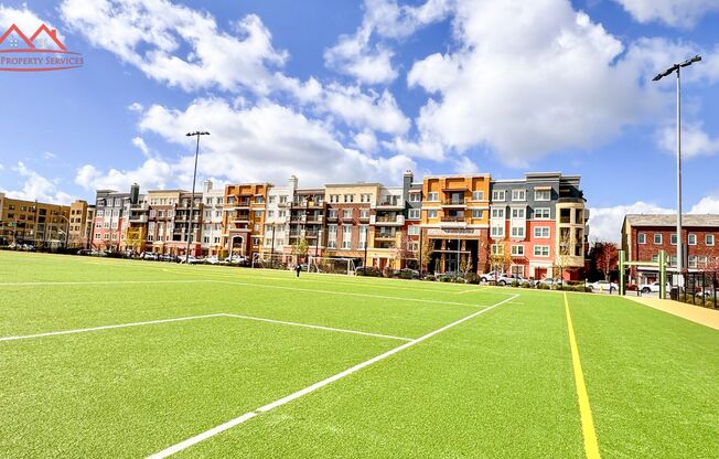 1 bed, 1 bath, $2,850, Unit #125
