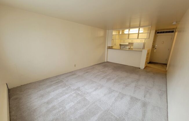 Studio, 1 bath, 415 sqft, $1,050, Unit 702