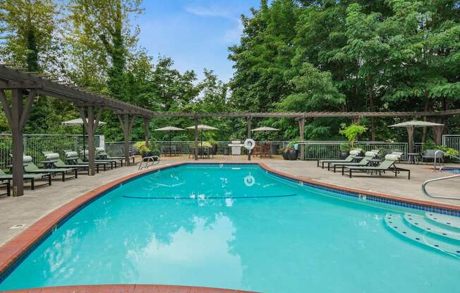 A large outdoor swimming pool surrounded by trees and lounge chairs.