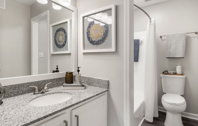 a bathroom with a mirror and a sink and a toilet