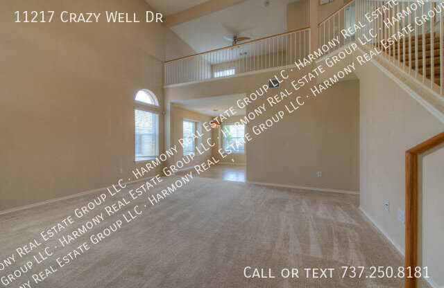 11217 CRAZY WELL DR