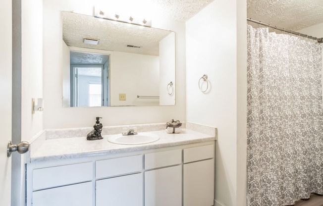 a bathroom with a sink and a mirror and a shower curtain