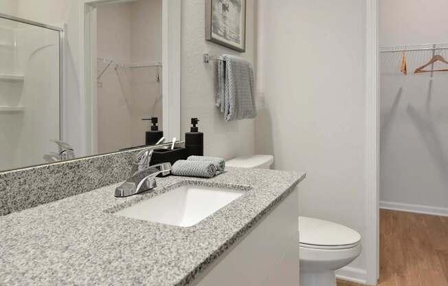 A bathroom with a sink, toilet, and a mirror.