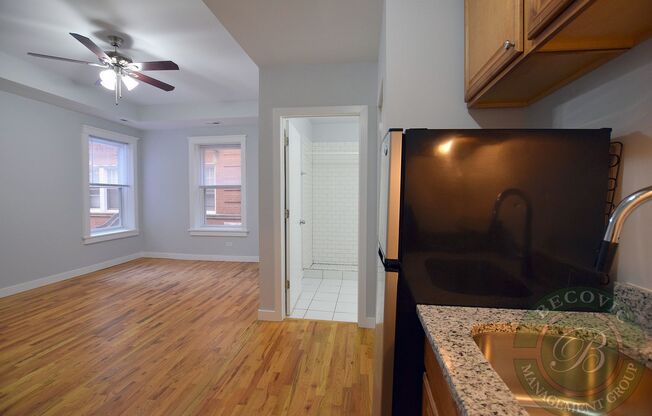 Studio, 1 bath, 266 sqft, $1,325, Unit 7456-3E