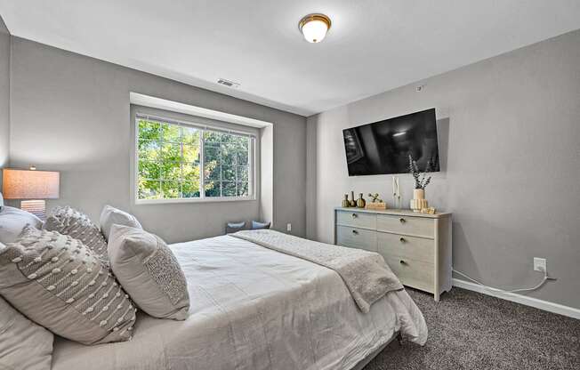 Bedroom with Large Window