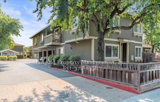 Spacious and Cozy Condo In Willow Glen - Recently Renovated!