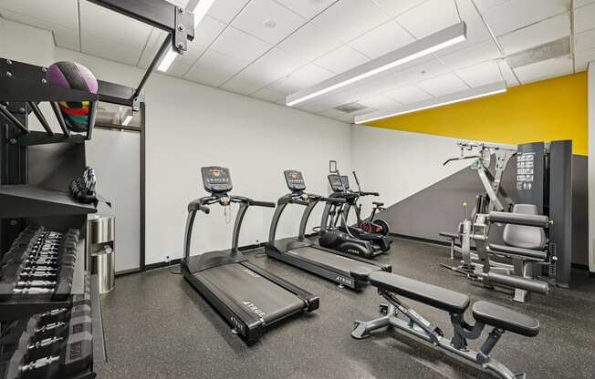 A gym with treadmills, weights, and other exercise equipment.