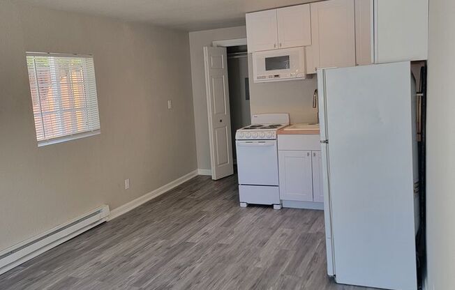 Studio, 1 bath, 300 sqft, $1,150, Unit 1120