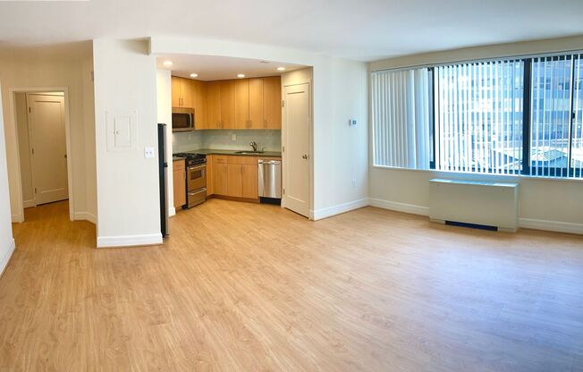Studio, 1 bath, 440 sqft, $2,150, Unit 0113