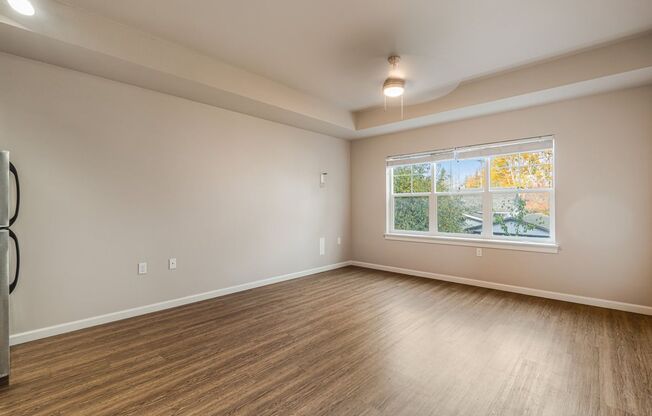 Studio, 1 bath, 490 sqft, $1,100, Unit 207