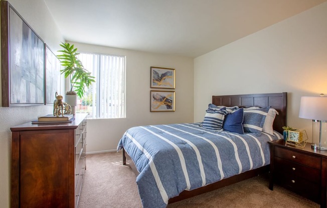 Pet-Friendly Apartments In Tucson, AZ – Midtown on Seneca - Photo of Furnished Bedroom with Windows