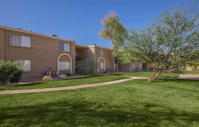 A tree stands in a grassy area in front of a building.