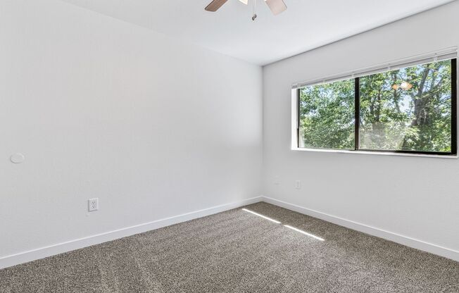 2 beds, 1 bath, 737 sqft, $1,550, Unit 1094-221