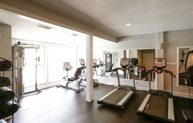 a gym with cardio equipment and weights on the floor