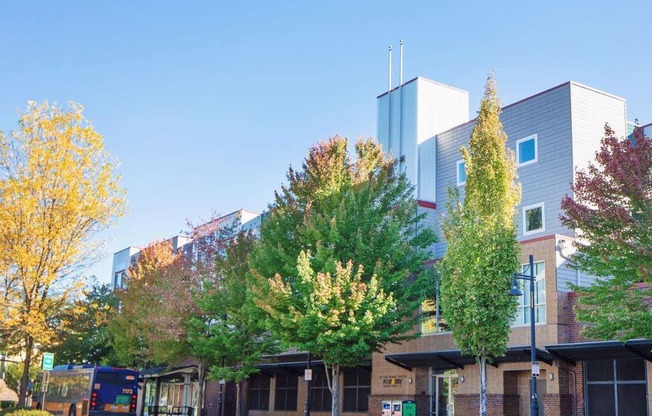 Metro Hub at Metropolitan Collection Apartments, Washington