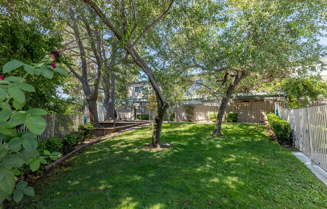 a backyard with trees and a fence and a house