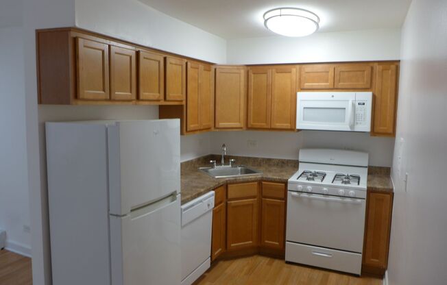 Studio, 1 bath, 400 sqft, $1,195, Unit 306