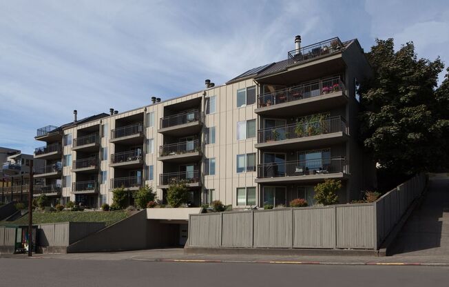 1 bed, 1 bath, 939 sqft, $2,195, Unit 101