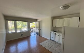 029 (2199 Turk)