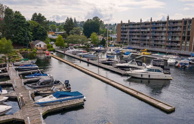 Waterfront 9508