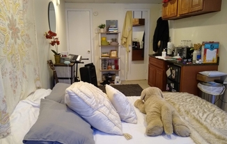 Studio, 1 bath, $1,995, Unit C