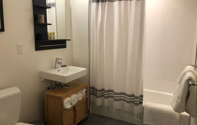 1 bed, 1 bath, $2,995, Unit 406