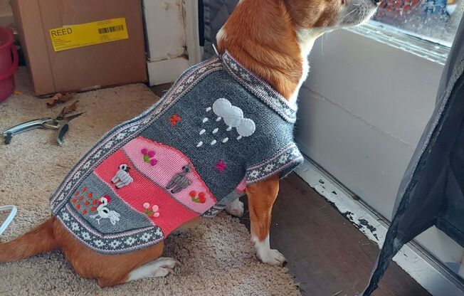 1 bed, 1 bath, 655 sqft, $1,549, Unit 505