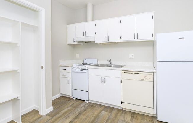 A small, modern kitchen featuring white cabinets, a double sink, a stove, and a dishwasher. The walls are painted light gray, and the flooring is a wood-like laminate. A refrigerator stands against the wall, with a pantry or shelving space visible to the left.