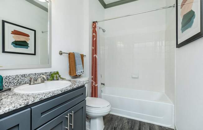 a bathroom with a sink and a toilet and a shower