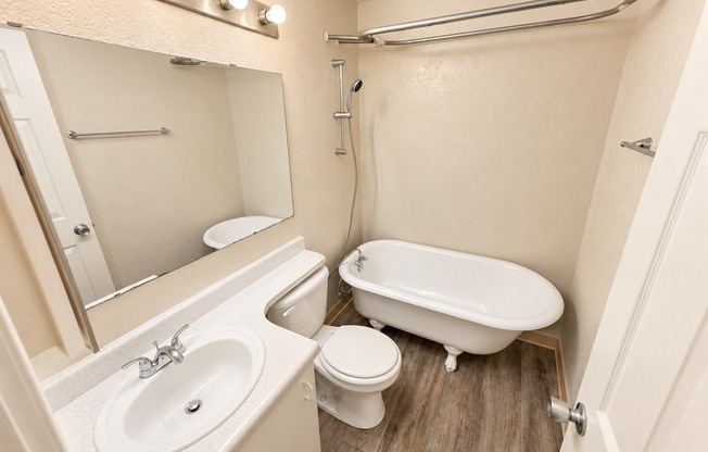 Studio, 1 bath, 233 sqft, $980, Unit 101
