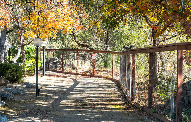 a bridge over a path in the woods