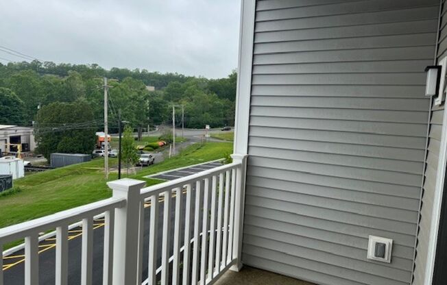 1 bed, 1 bath, 740 sqft, $3,000, Unit Apt 1114