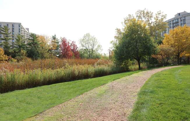 Natural Wetlands