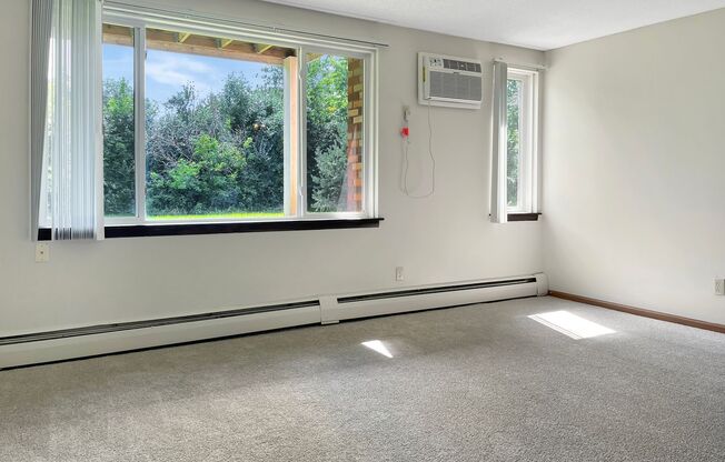 1 bed, 1 bath, 700 sqft, $1,145, Unit 3920103