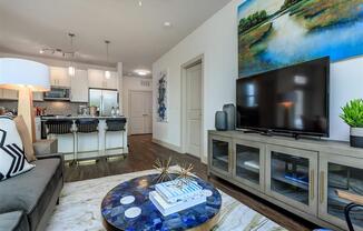 Berewick Pointe Living Room With Television at Charlotte Apartment Rentals