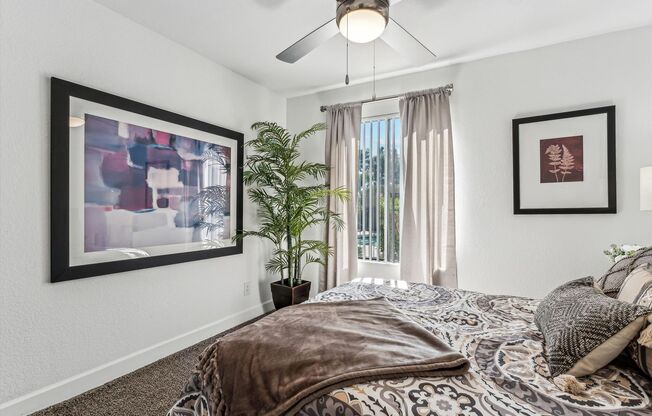 2 beds, 2 baths, 892 sqft, $1,409, Unit 244