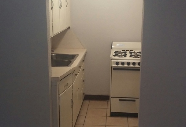 Studio, 1 bath, 400 sqft, $550, Unit 1