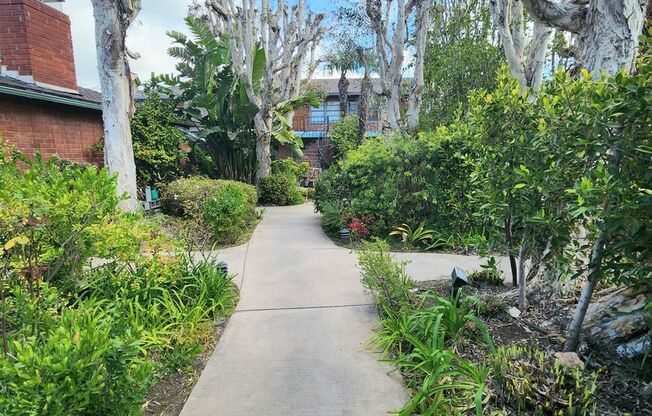 Cool breezes and beach vibes. Check out this 1bd/1ba condo in the HEART of Santa Monica