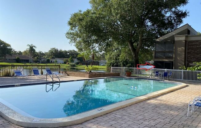 Cute Studio in the heart of Tampa