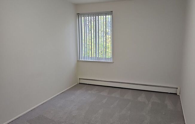 1 bed, 1 bath, 504 sqft, $989, Unit 311