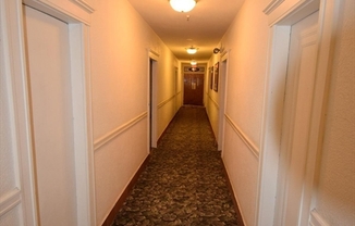 1 bed, 1 bath, 345 sqft, $2,700, Unit 16