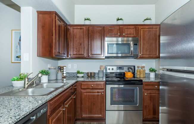 Wooden cabinets and appliances at The Equestrian by Picerne, Henderson, NV, 89052