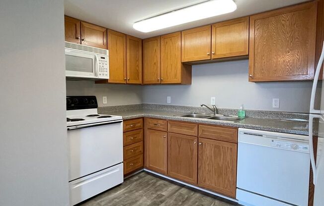 1 bed, 1 bath, $1,175, Unit #207