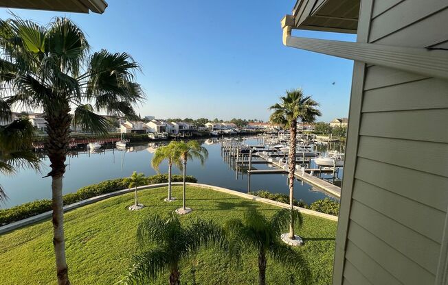 Waterfront tropical paradise in one of Tampa's most coveted communities