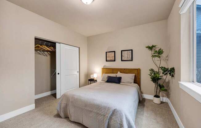 A bedroom with a bed, two pictures on the wall, and a plant on the side table.