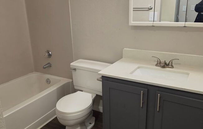 1 bed, 1 bath, 591 sqft, $1,499, Unit B-305